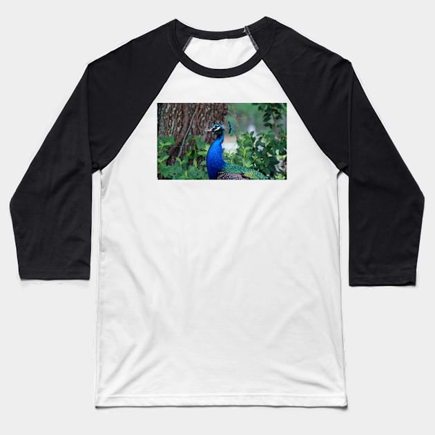 Peacock Profile Baseball T-Shirt by Cynthia48